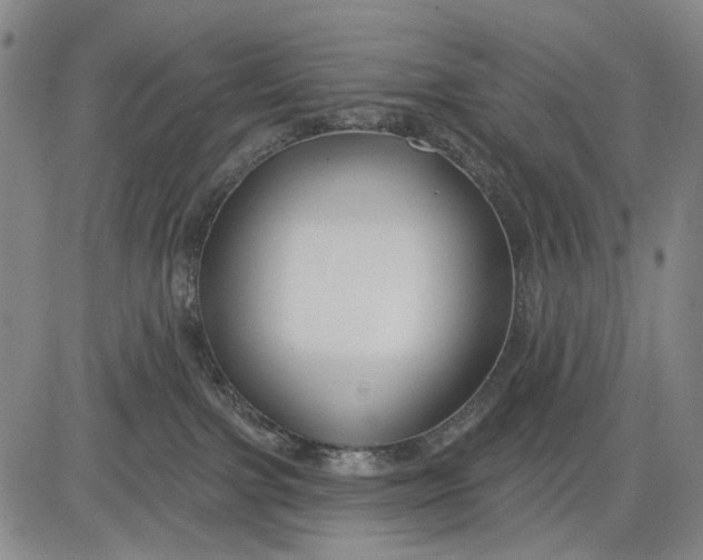 X0000083610091200703051554