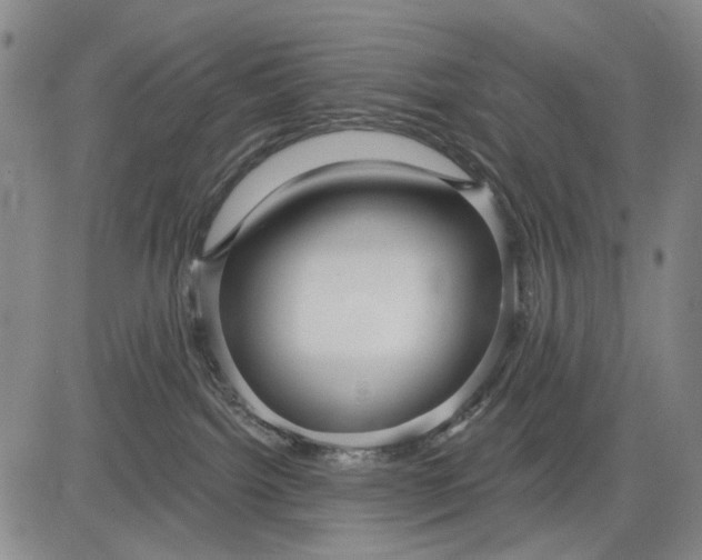 X0000083610092200703051554