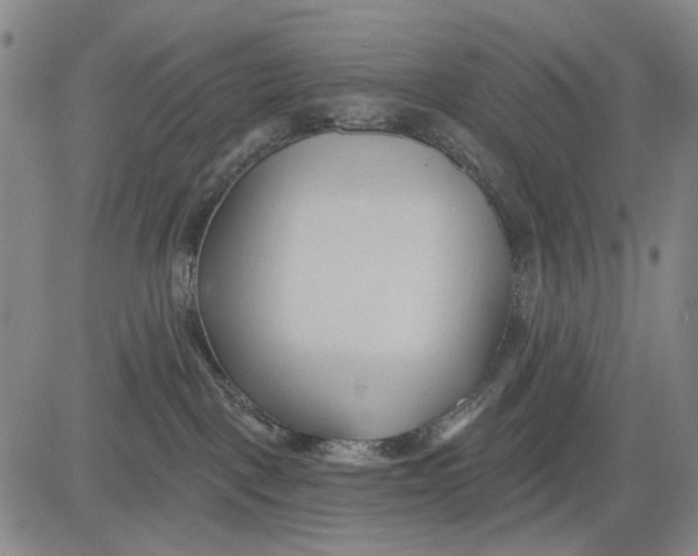 X0000083610093200703051554