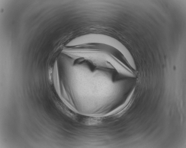 X0000083610094200703051554