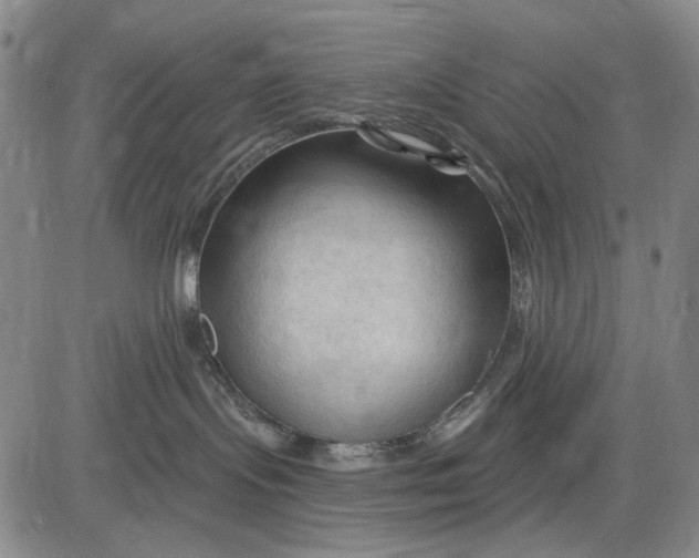 X0000083610095200703051554