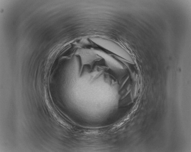 X0000083610097200703051554