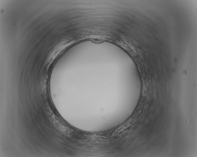 X0000083610098200703051554