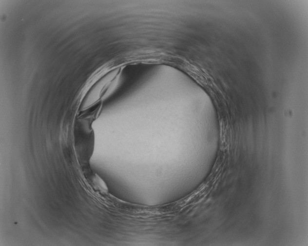 X0000083610099200703051554