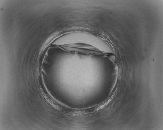 X0000083610101200703051553