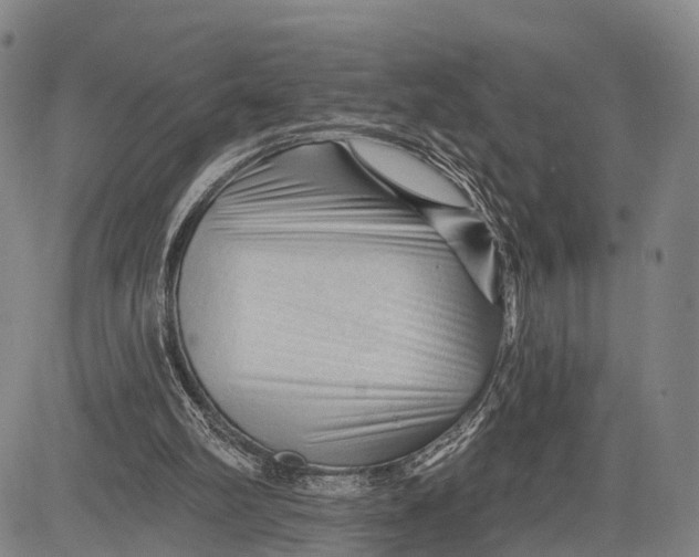 X0000083610102200703051553