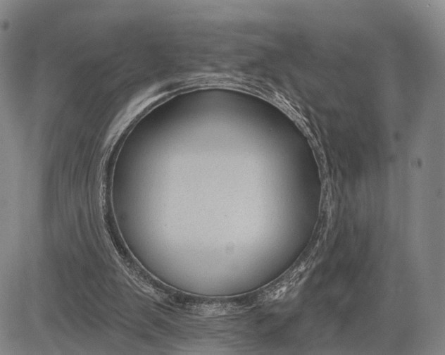 X0000083610103200703051553