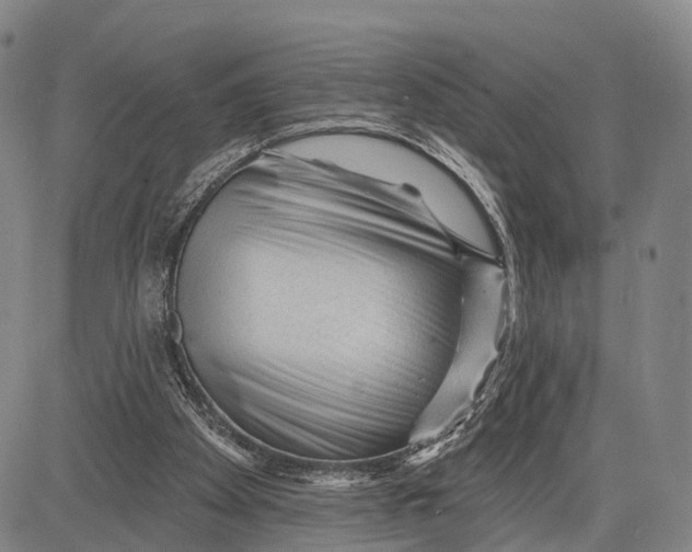 X0000083610105200703051553