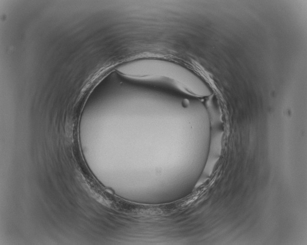 X0000083610106200703051553