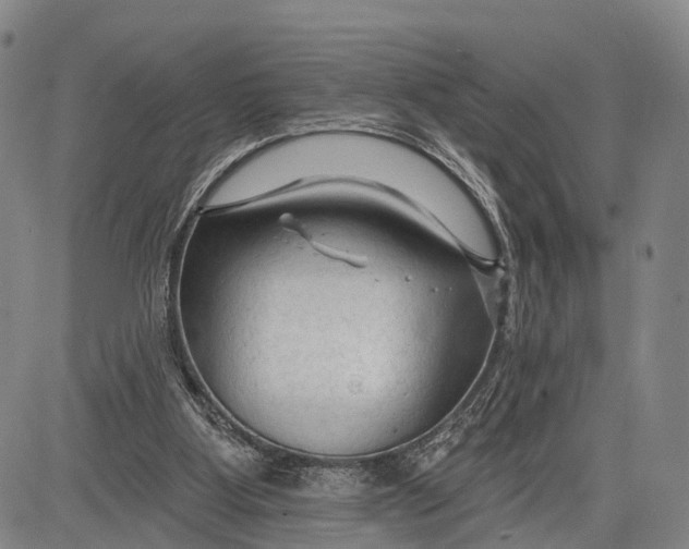 X0000083610107200703051553