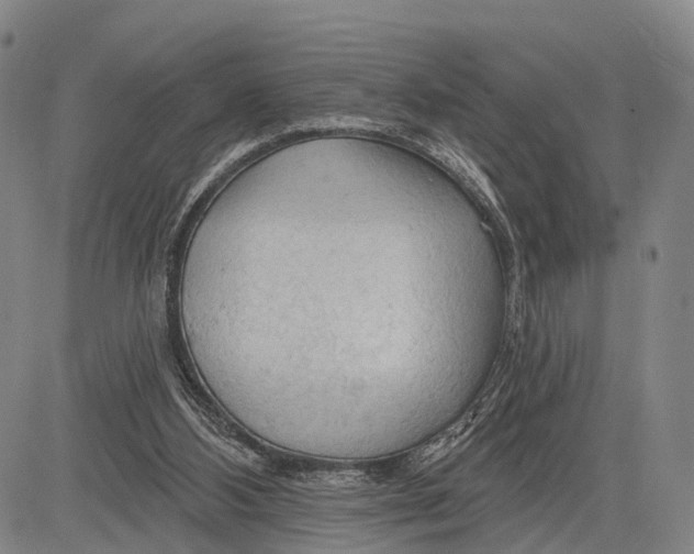 X0000083610108200703051553