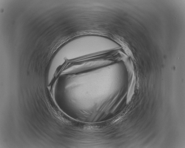 X0000083610109200703051553