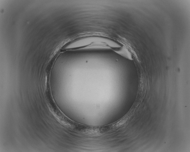 X0000083610110200703051553