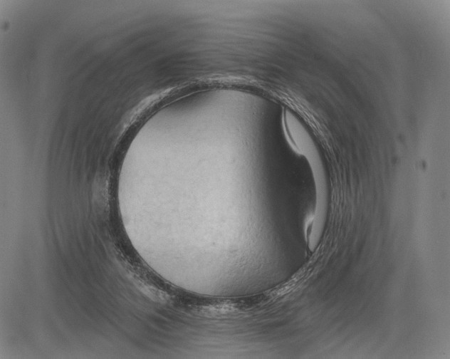 X0000083610112200703051553