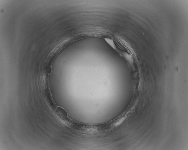 X0000083610113200703051553