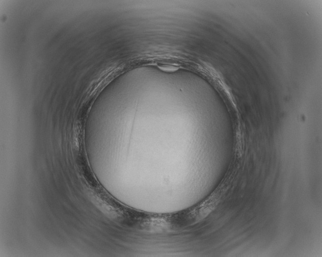 X0000083610114200703051553