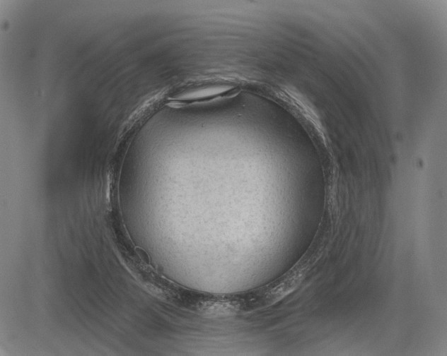 X0000083610115200703051553