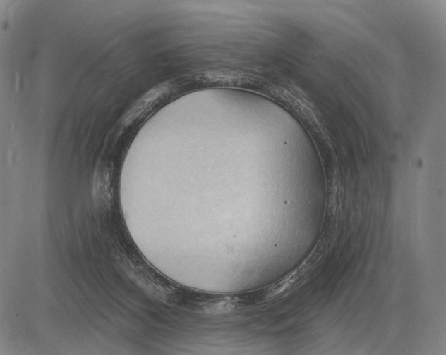 X0000083610116200703051553