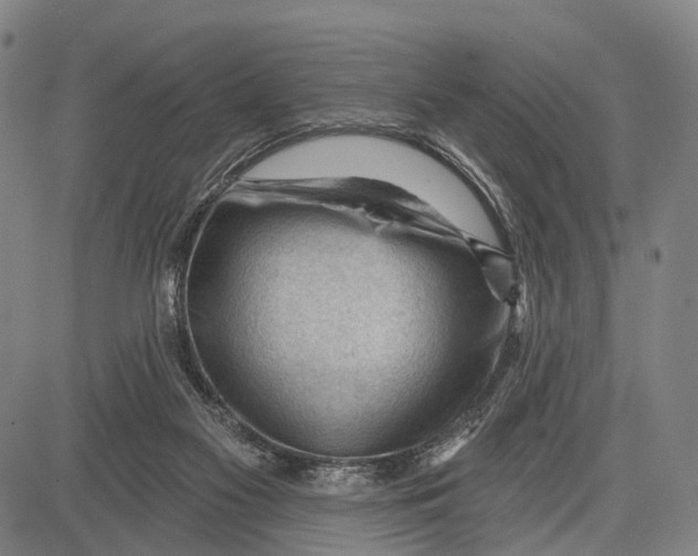 X0000083610117200703051553