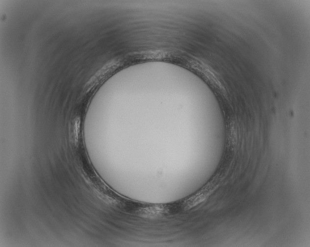 X0000083610118200703051553