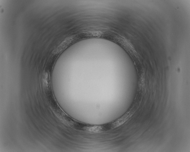 X0000083610122200703051553