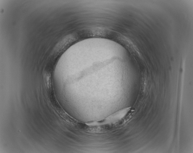 X0000083610123200703051553