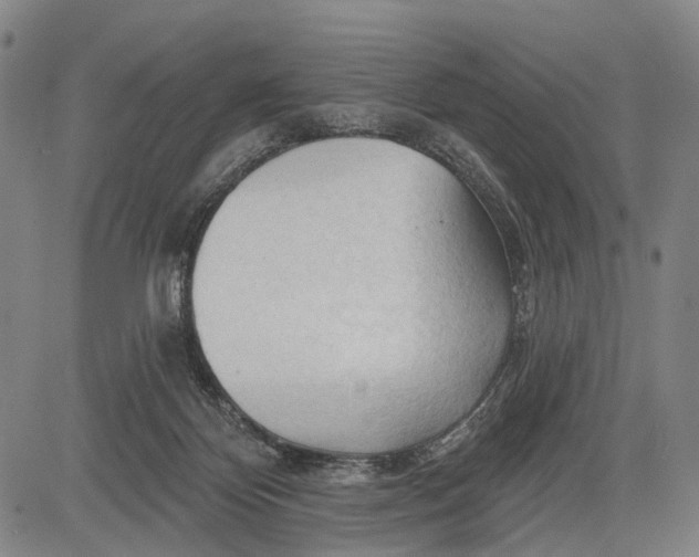 X0000083610124200703051553