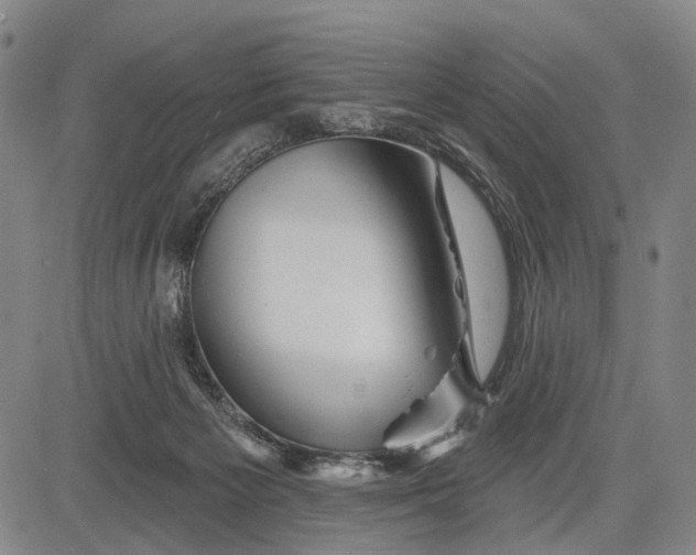 X0000083610125200703051553