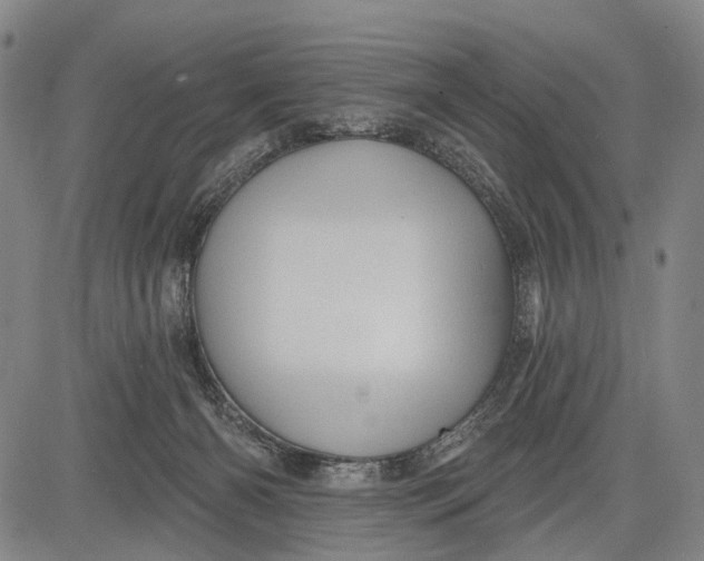 X0000083610126200703051553