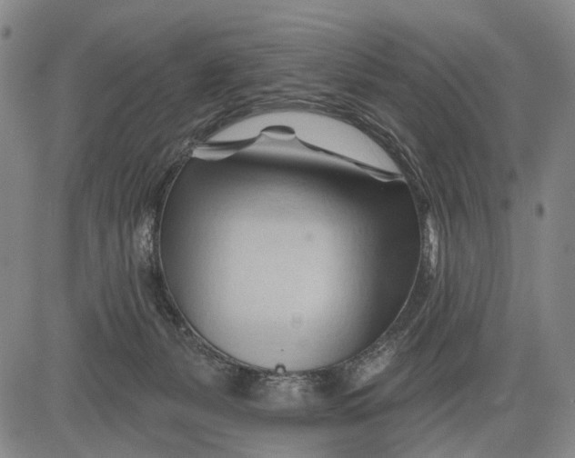 X0000083610127200703051553