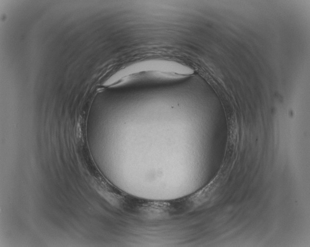 X0000083610128200703051553