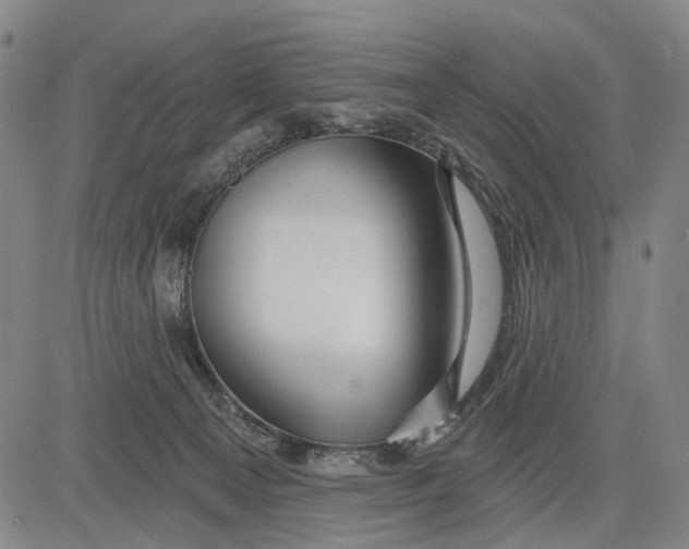 X0000083610129200703051553