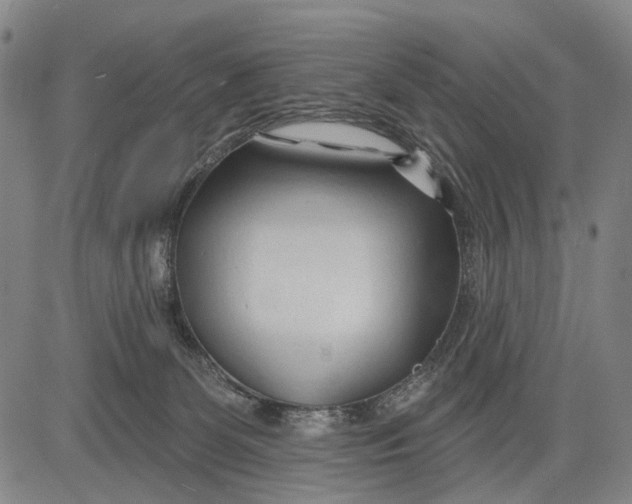 X0000083610131200703051553