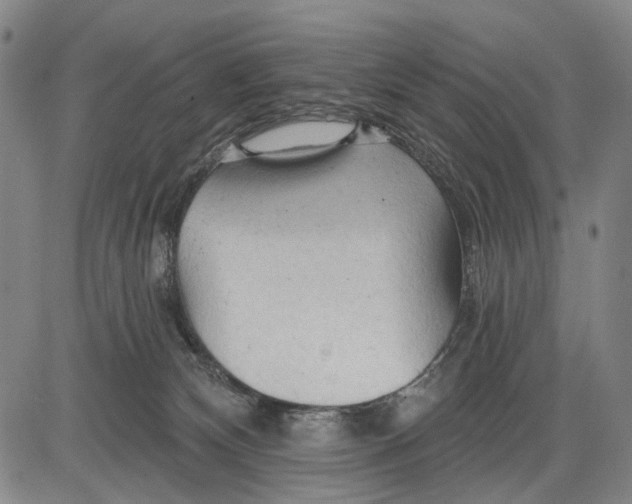 X0000083610132200703051553