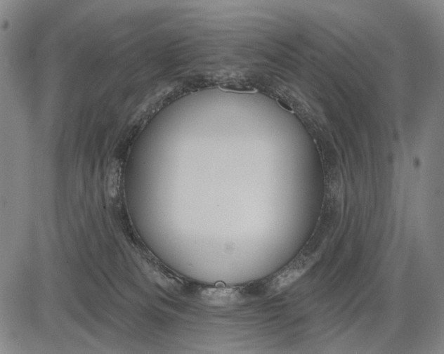 X0000083610133200703051553