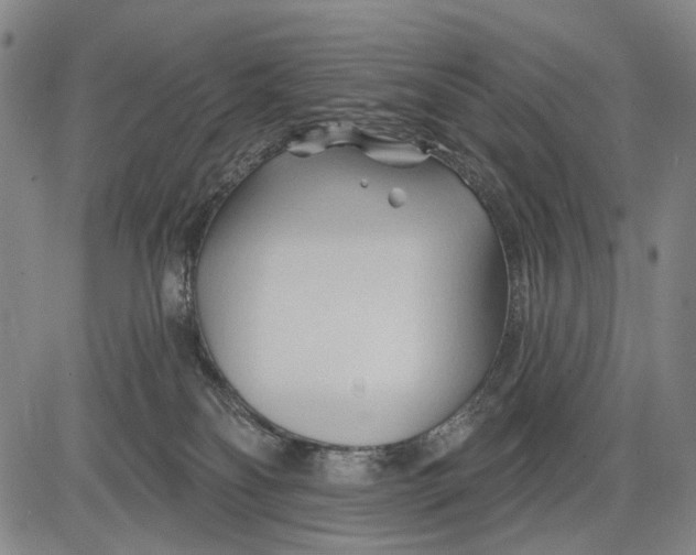 X0000083610134200703051553