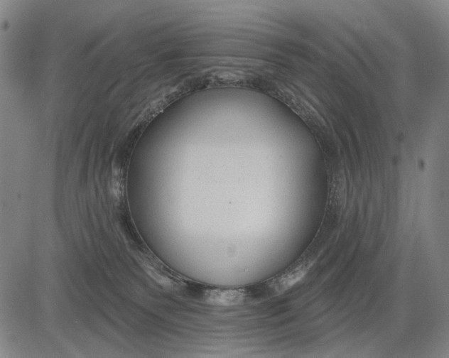 X0000083610135200703051553