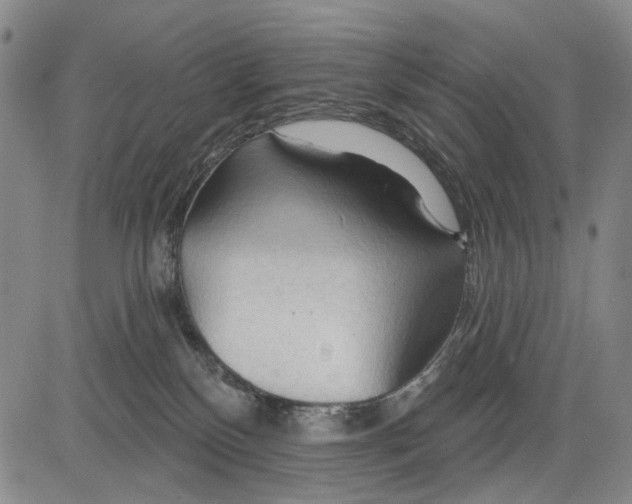 X0000083610136200703051553