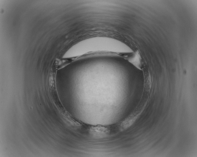 X0000083610137200703051553