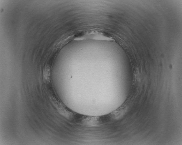 X0000083610138200703051553