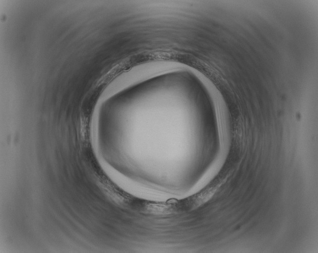 X0000083610139200703051553