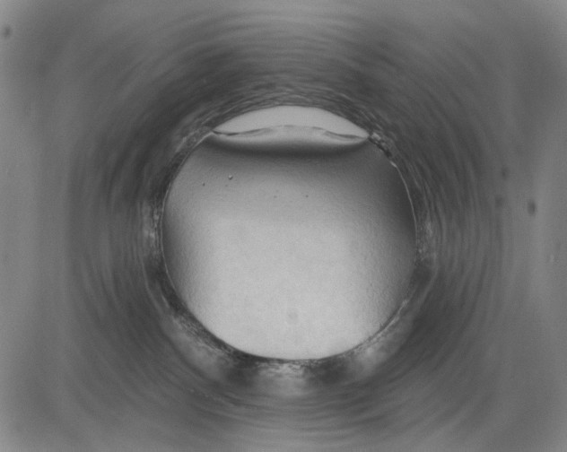 X0000083610140200703051553