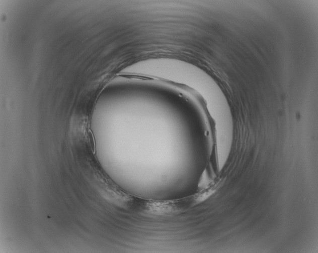 X0000083610141200703051553