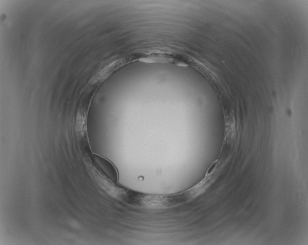 X0000083610142200703051553