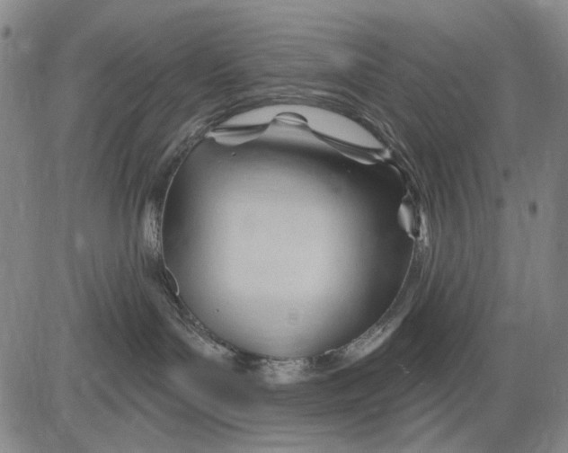 X0000083610143200703051553