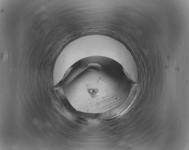 X0000083610144200703051553