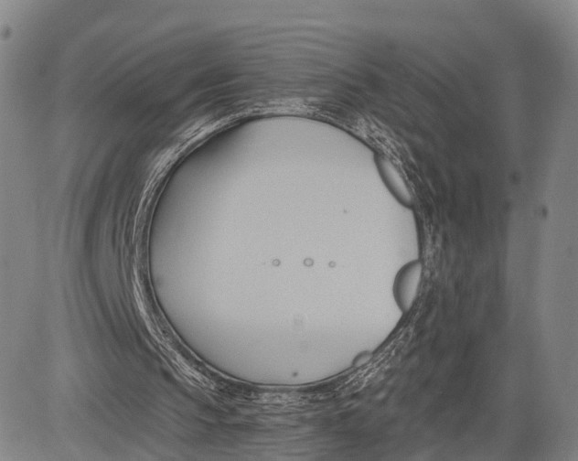 X0000083610145200703051552