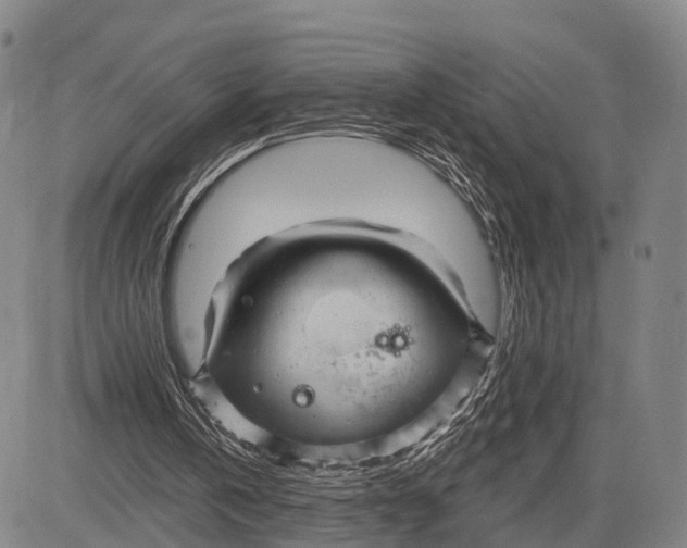 X0000083610146200703051552