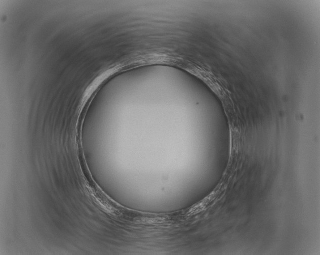 X0000083610147200703051552