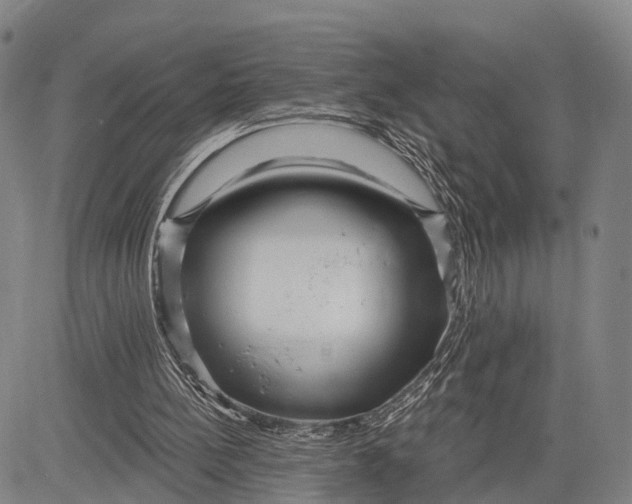 X0000083610148200703051552